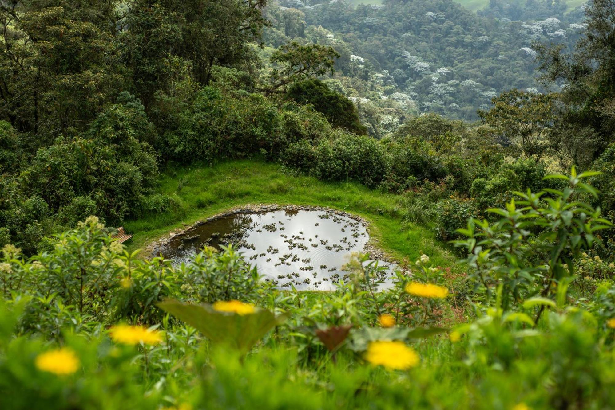 Villa Owl'S Watch At Rio Blanco à Manizales Extérieur photo